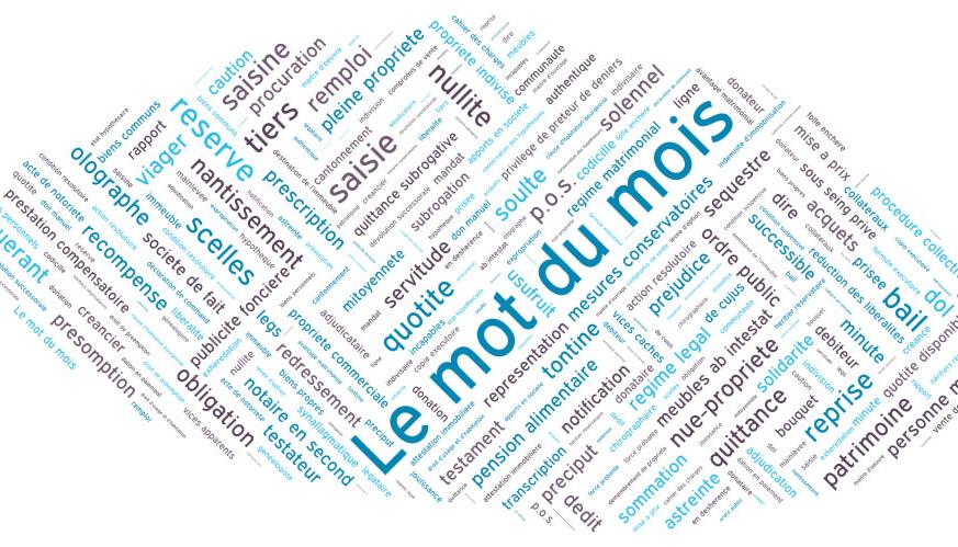 Le mot du mois : « l'incapable »